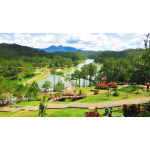 Tour Hà Nội - Đà Lạt:  Ngắm mây đỉnh Lang Biang - Thác Datanla - Cà phê Mê Linh